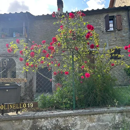 فندق مبيت وإفطار Casetta Girasole - Monterchi