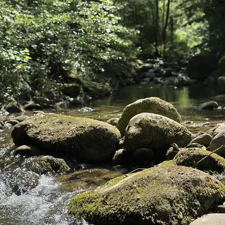 Casetta Girasole - 3*